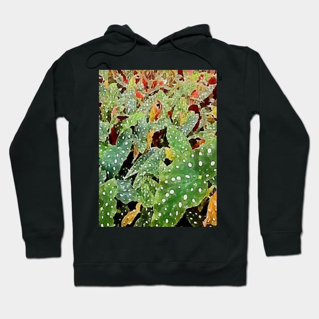 begonia plants Hoodie by Banyu_Urip